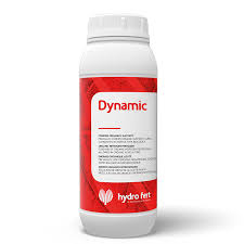 Dinamic